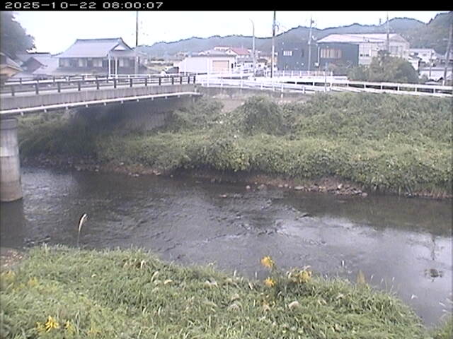 蒲生川２2025/10/22 11:20:00