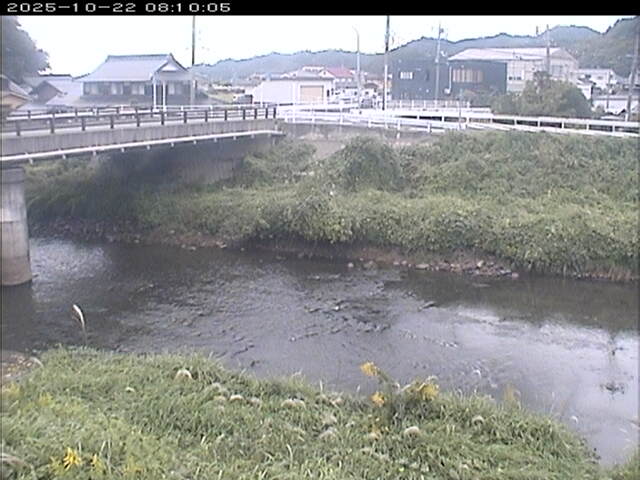 蒲生川２2025/10/22 11:20:00