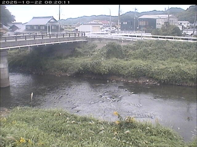 蒲生川２2025/10/22 11:20:00