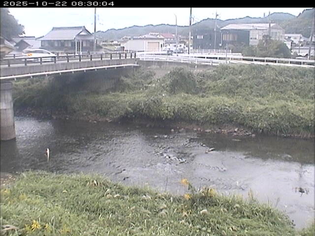 蒲生川２2025/10/22 11:20:00