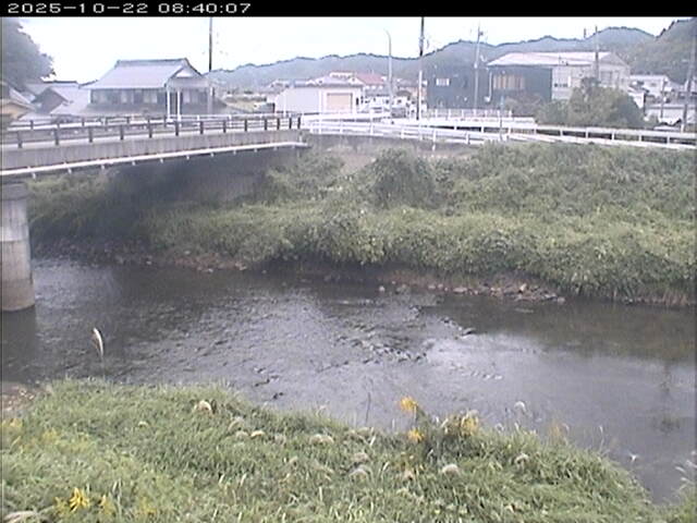 蒲生川２2025/10/22 11:20:00
