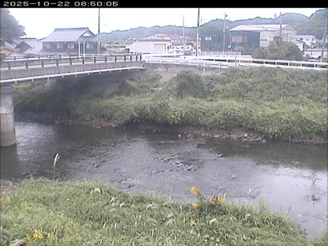 蒲生川２2025/10/22 11:20:00