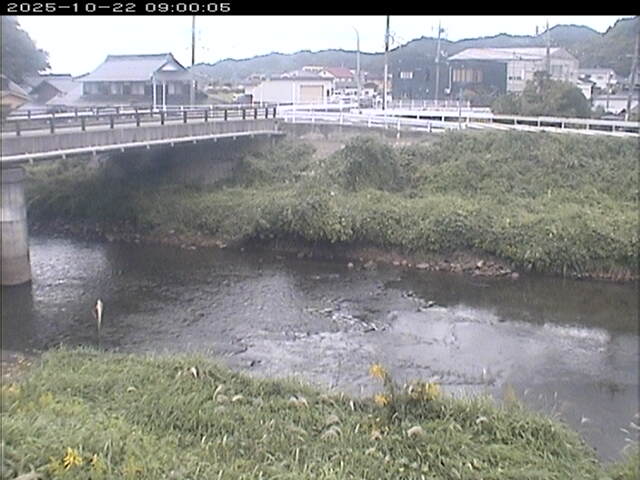 蒲生川２2025/10/22 11:20:00