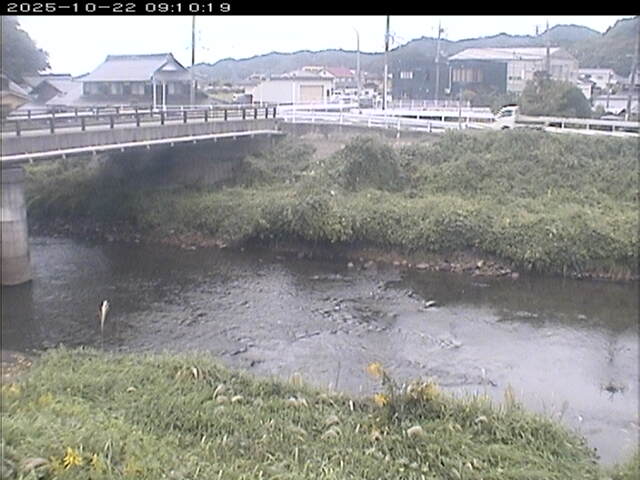 蒲生川２2025/10/22 11:20:00