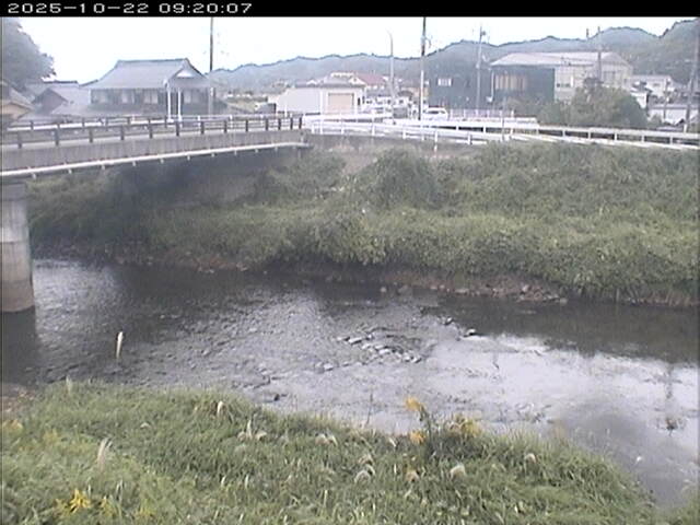 蒲生川２2025/10/22 11:20:00