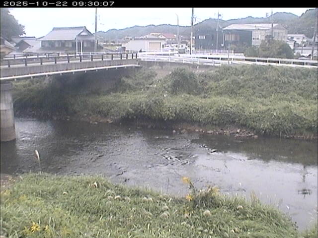 蒲生川２2025/10/22 11:20:00