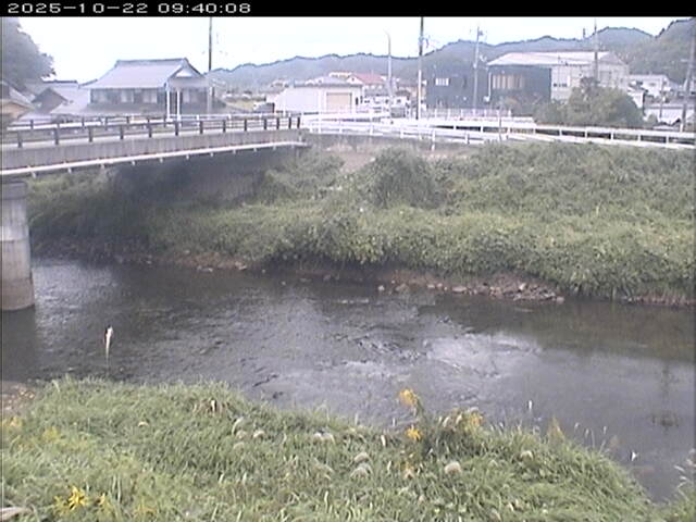 蒲生川２2025/10/22 11:20:00