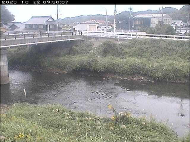 蒲生川２2025/10/22 11:20:00