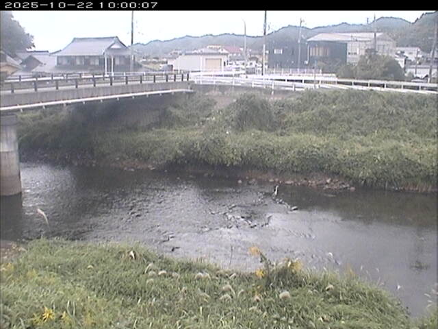蒲生川２2025/10/22 11:20:00