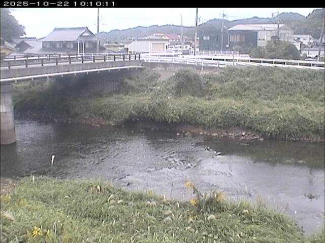 蒲生川２2025/10/22 11:20:00