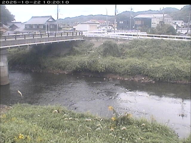 蒲生川２2025/10/22 11:20:00