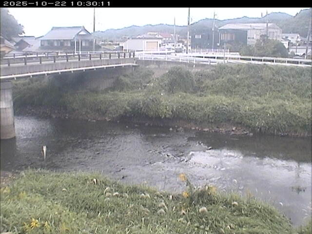 蒲生川２2025/10/22 11:20:00