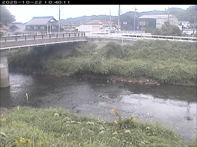 蒲生川２2025/10/22 11:20:00