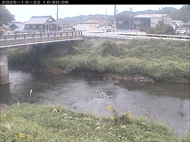 蒲生川２2025/10/22 11:20:00