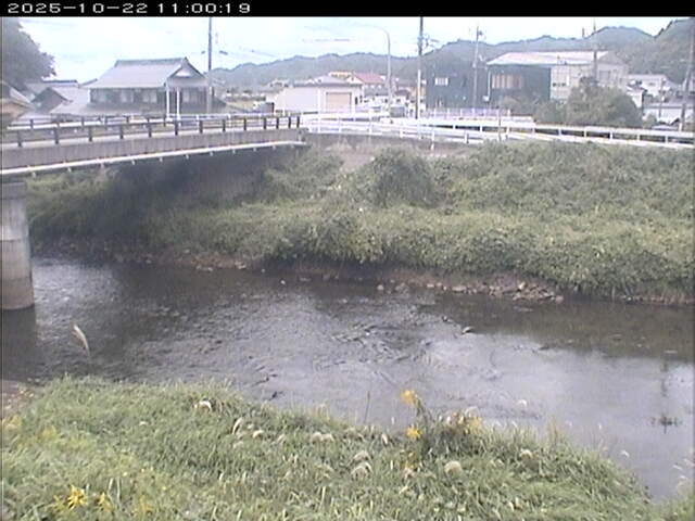 蒲生川２2025/10/22 11:20:00