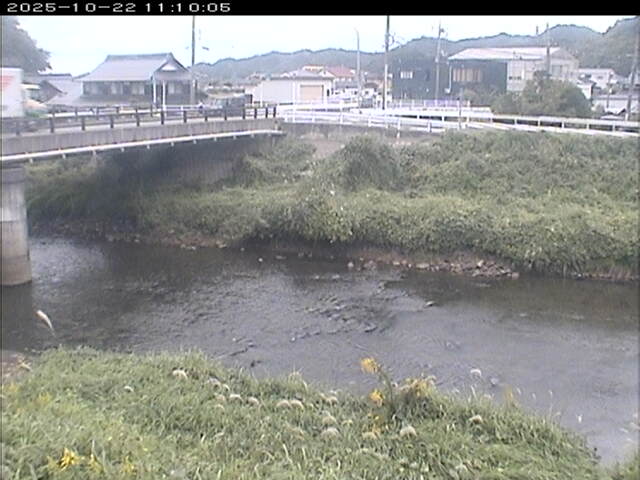 蒲生川２2025/10/22 11:20:00