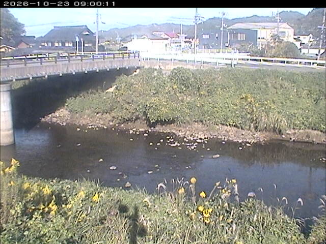 蒲生川２2026/10/24 9:30:00