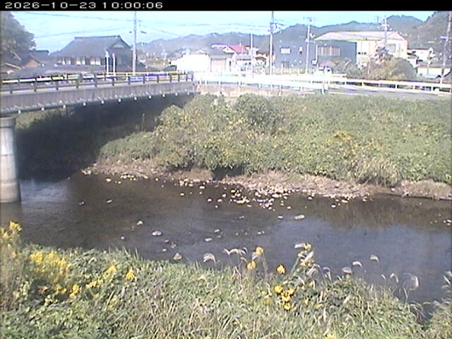 蒲生川２2026/10/24 9:30:00