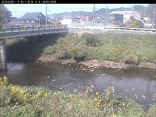 蒲生川２2026/10/24 9:30:00