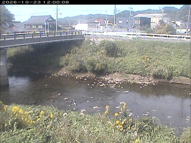 蒲生川２2026/10/24 9:30:00