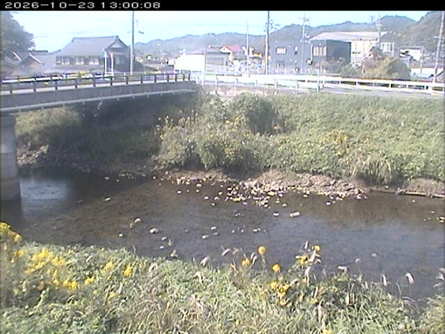 蒲生川２2026/10/24 9:30:00