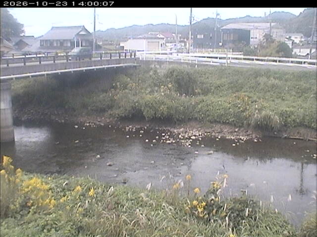 蒲生川２2026/10/24 9:30:00