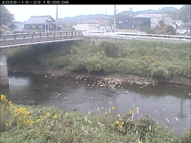 蒲生川２2026/10/24 9:30:00