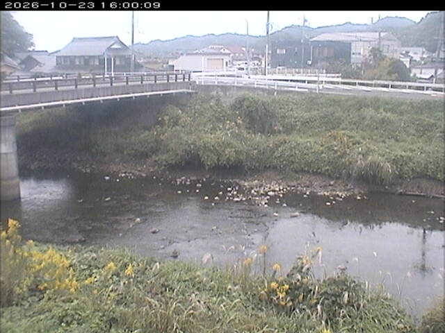 蒲生川２2026/10/24 9:30:00