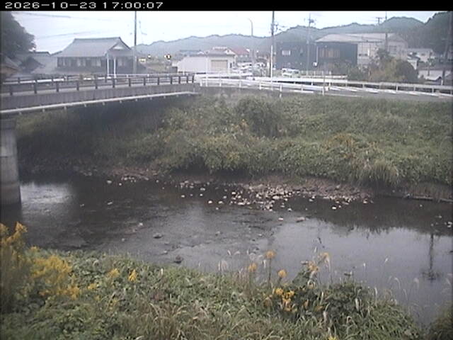 蒲生川２2026/10/24 9:30:00