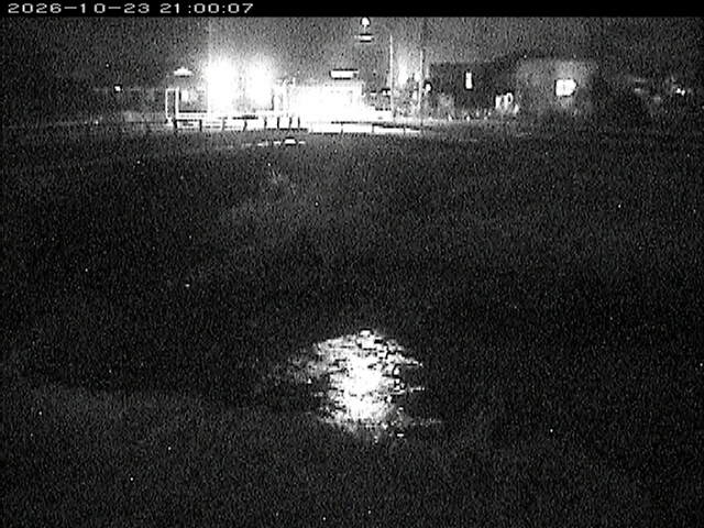 蒲生川２2026/10/24 9:30:00