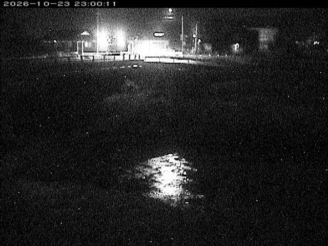 蒲生川２2026/10/24 9:30:00