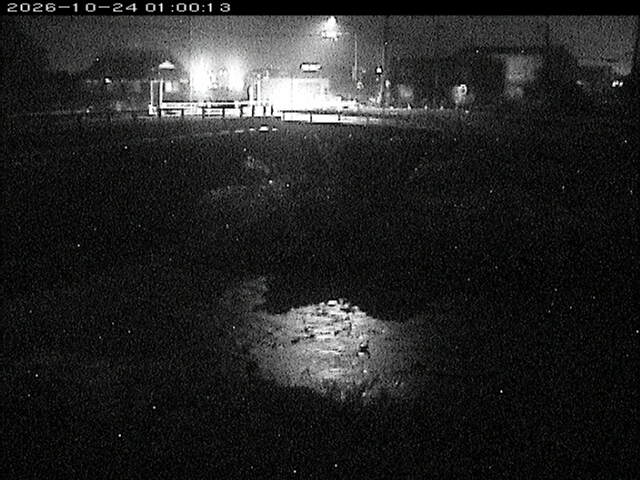 蒲生川２2026/10/24 9:30:00