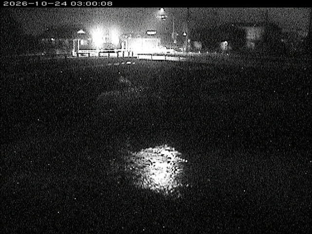 蒲生川２2026/10/24 9:30:00