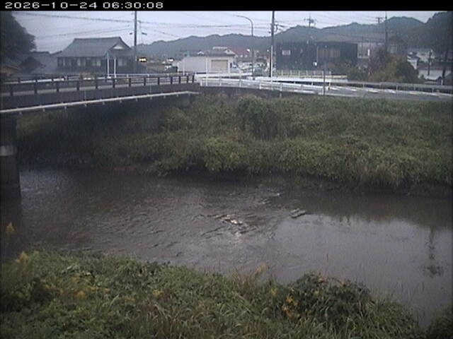 蒲生川２2026/10/24 9:30:00