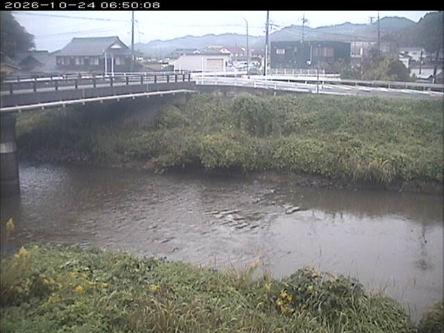 蒲生川２2026/10/24 9:30:00