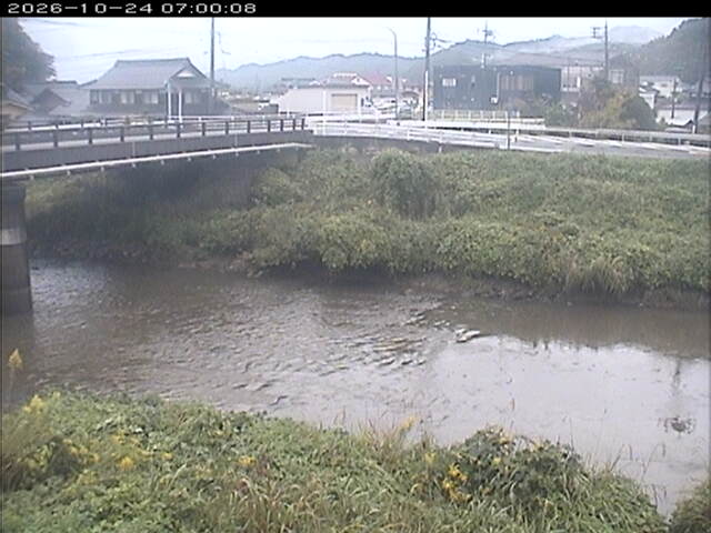 蒲生川２2026/10/24 9:30:00