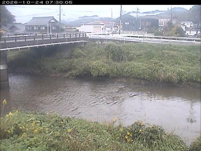 蒲生川２2026/10/24 9:30:00