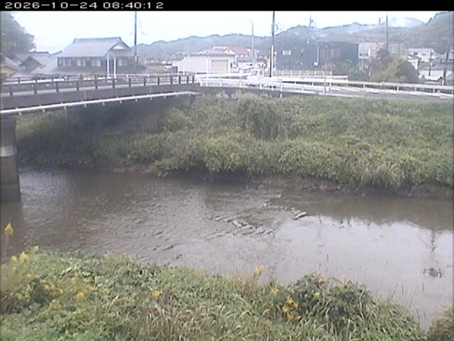 蒲生川２2026/10/24 9:30:00