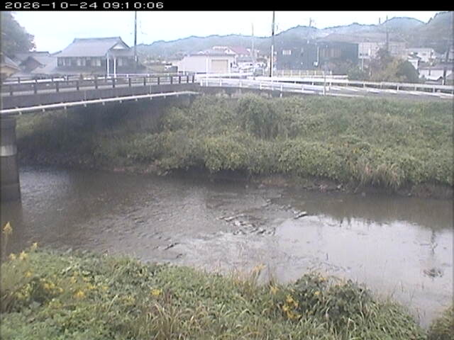 蒲生川２2026/10/24 9:30:00
