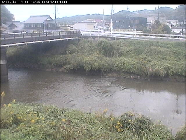蒲生川２2026/10/24 9:30:00