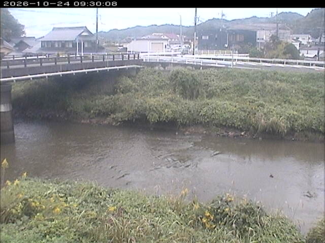 蒲生川２2026/10/24 9:30:00