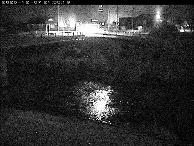 蒲生川２2025/12/08 11:30:00