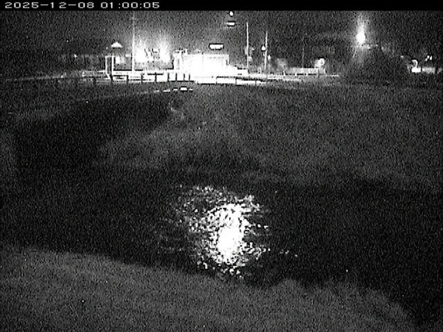 蒲生川２2025/12/08 11:30:00