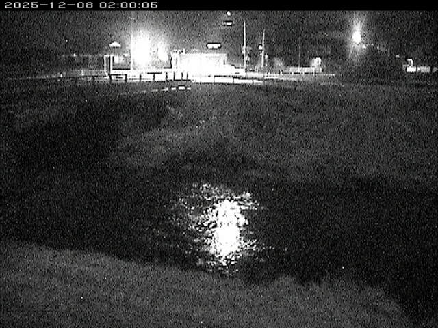 蒲生川２2025/12/08 11:30:00