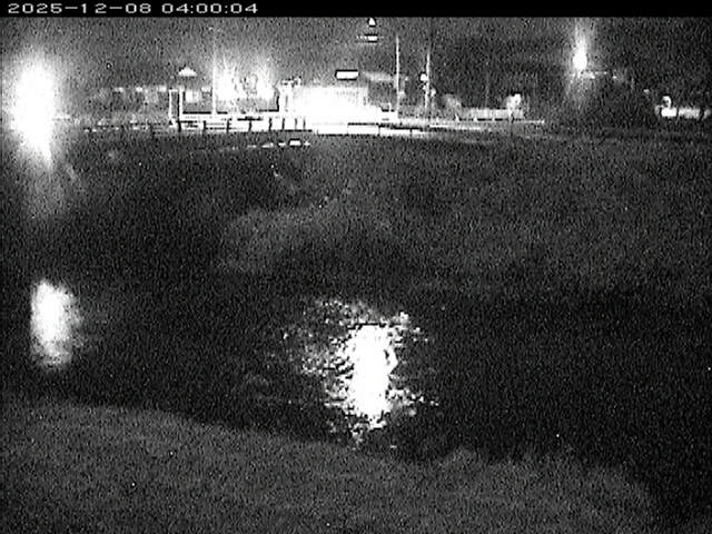 蒲生川２2025/12/08 11:30:00