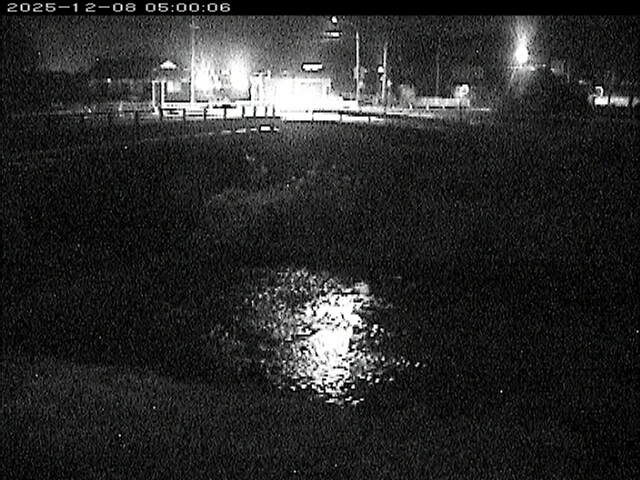 蒲生川２2025/12/08 11:30:00