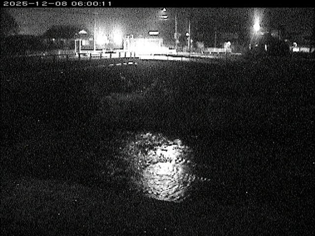 蒲生川２2025/12/08 11:30:00