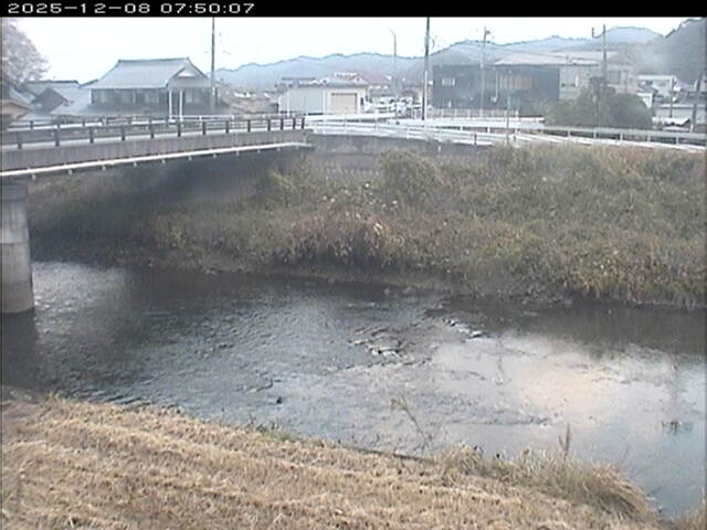 蒲生川２2025/12/08 11:30:00