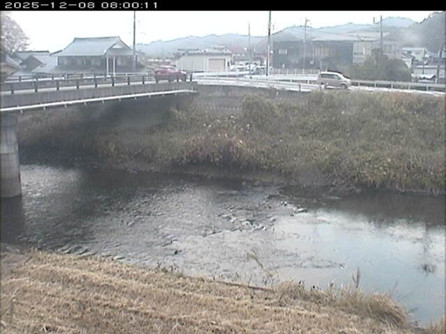 蒲生川２2025/12/08 11:30:00