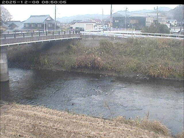 蒲生川２2025/12/08 11:30:00